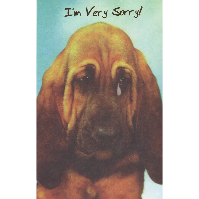 Sorry Bloodhound Card: A Sad Puppy Apology