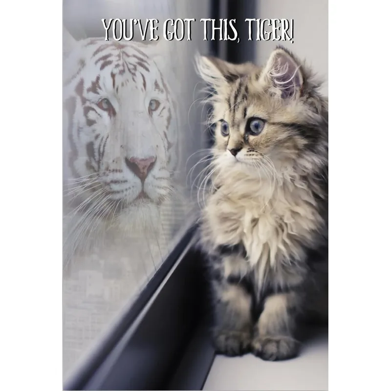 Kitten Tiger Reflection Card: A Little Cat's Big Pep Talk