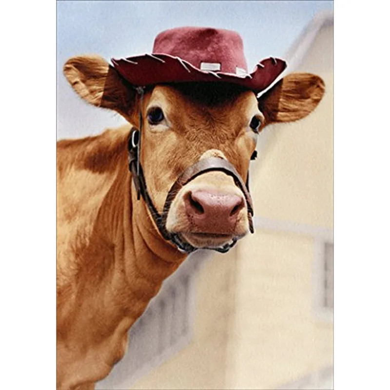 Cow in Cowboy Hat Card – Brown cow wearing a maroon cowboy hat – Greeting Card in black