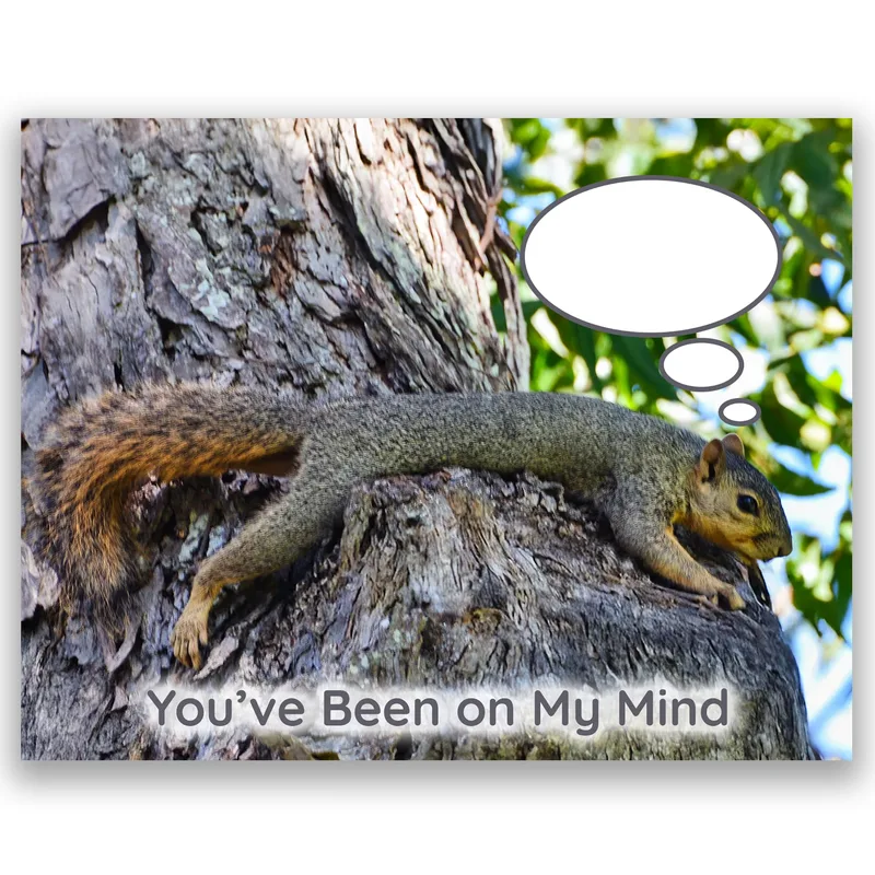 Squirrel Thinking of You Card: A Sleepy Thought Bubble