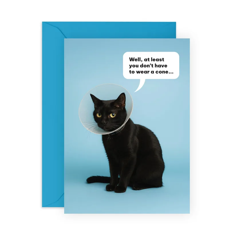 Wearing Plastic Cone Get Well Card for Cats and Humans Alike