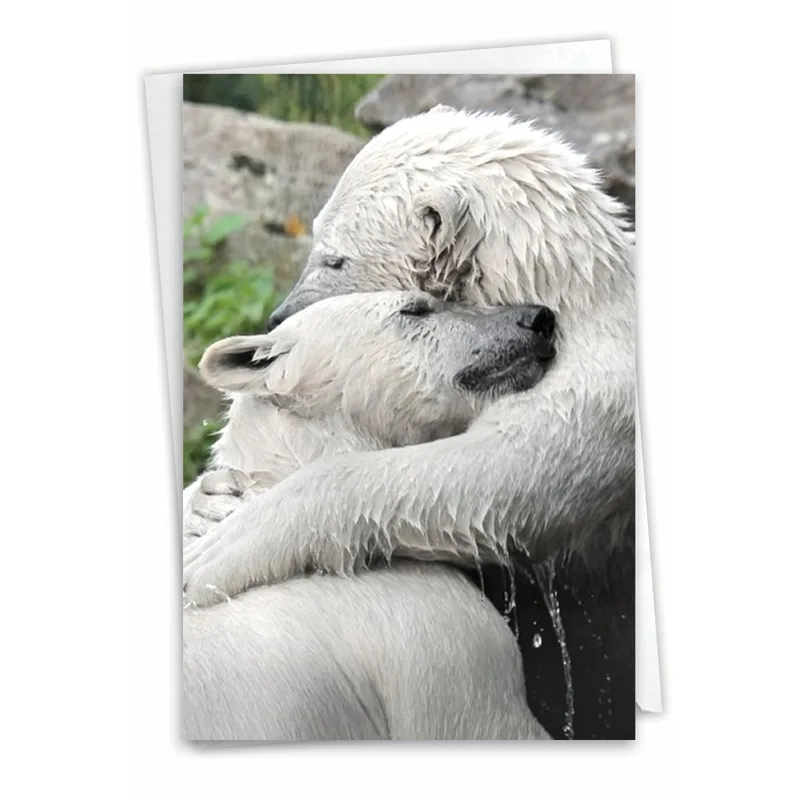 Bears Hugging Photo Friendship Card Celebrating Warm Animal Embraces
