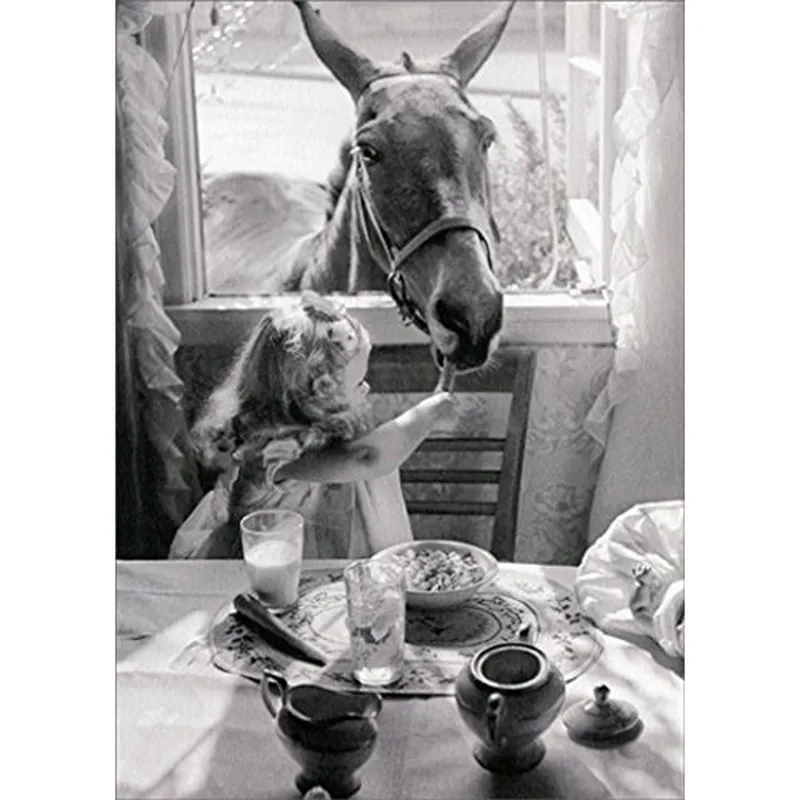 White Mule Photo Friendship Card for the Friend Who Loves Quirky Humor