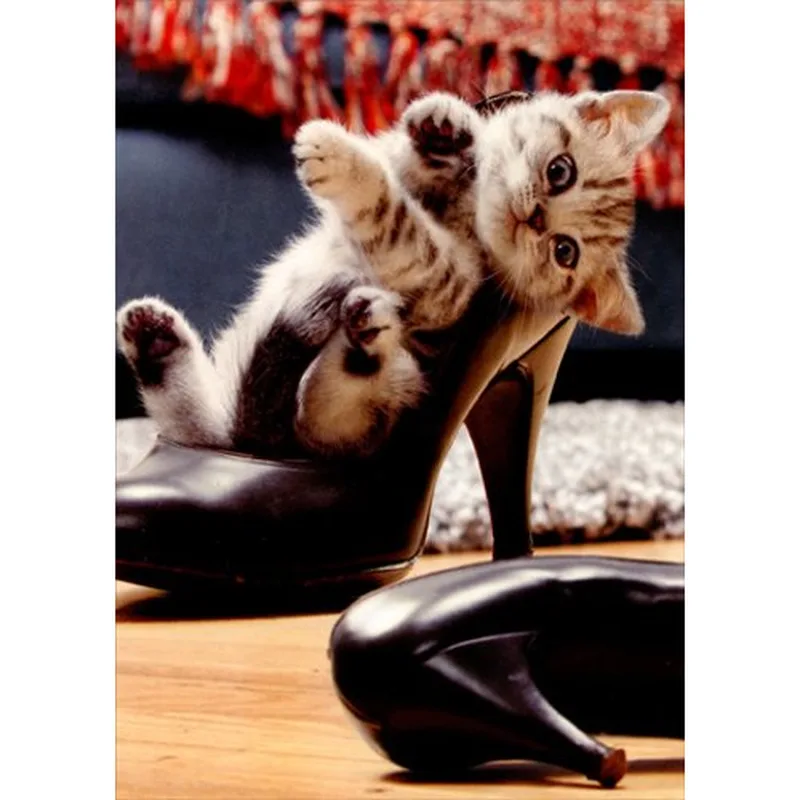 Kittens Black Heels Friendship Card for the Friend Who Loves Cats
