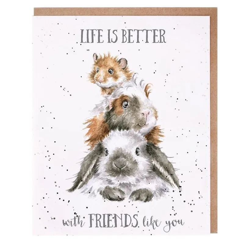 Guinea Pigs Rabbit Friendship Card: Life Is Better