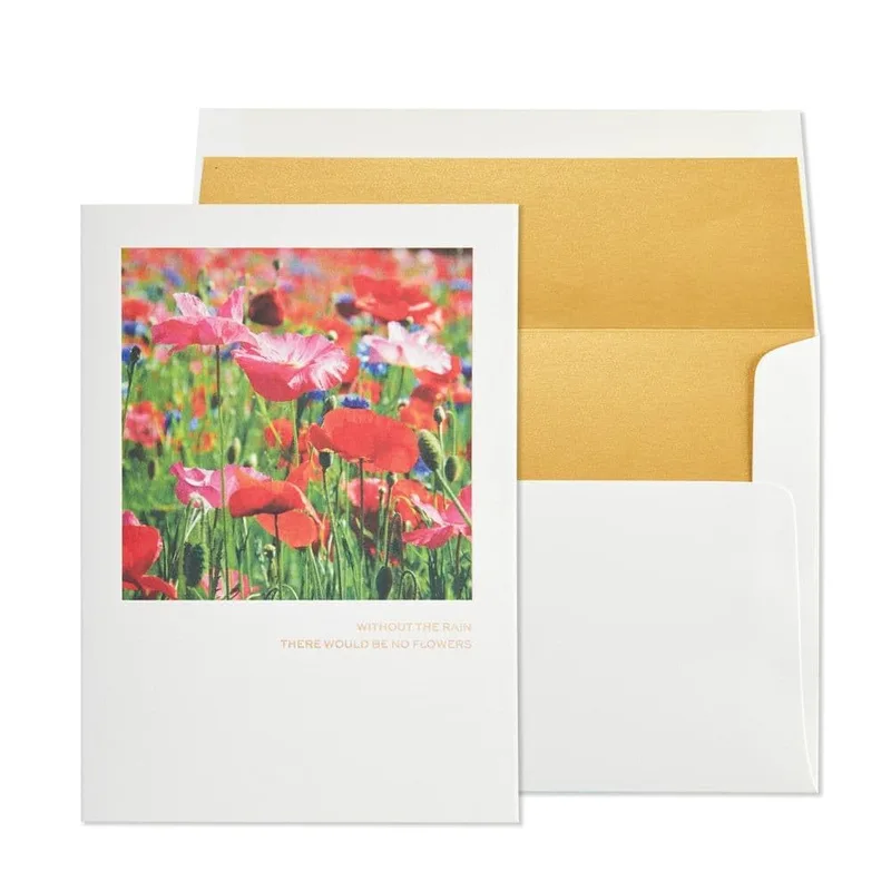 Red Poppies Flower Field Card Celebrating Friendship Through Nature
