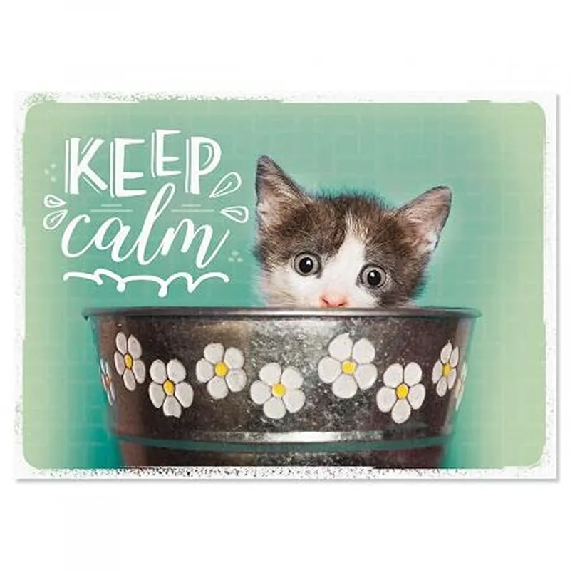 Kitten in Flower Bowl Card: A Calm Friendship Greeting