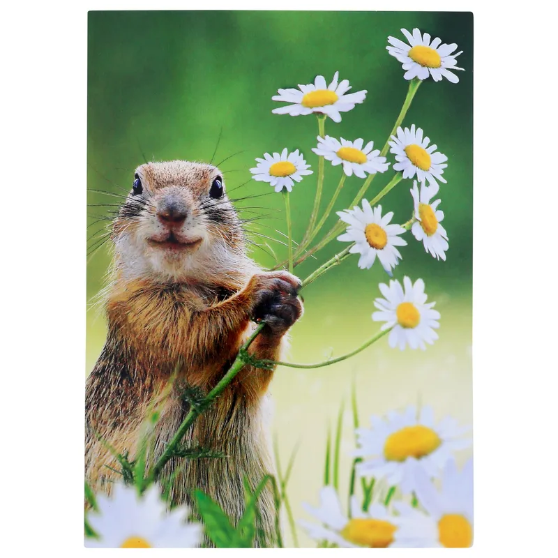Groundhog Daisy Card for a Thank You
