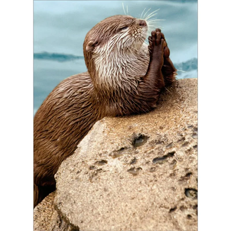 Praying Otter Card: A Wordless Thank You With Heart