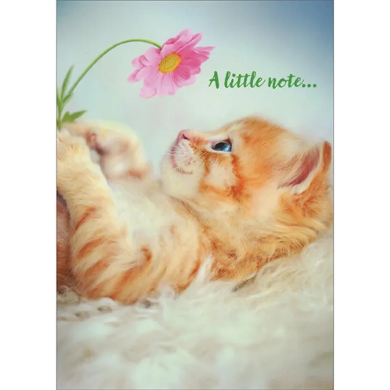 Orange Kitten Card: A Little Note for a Thank You