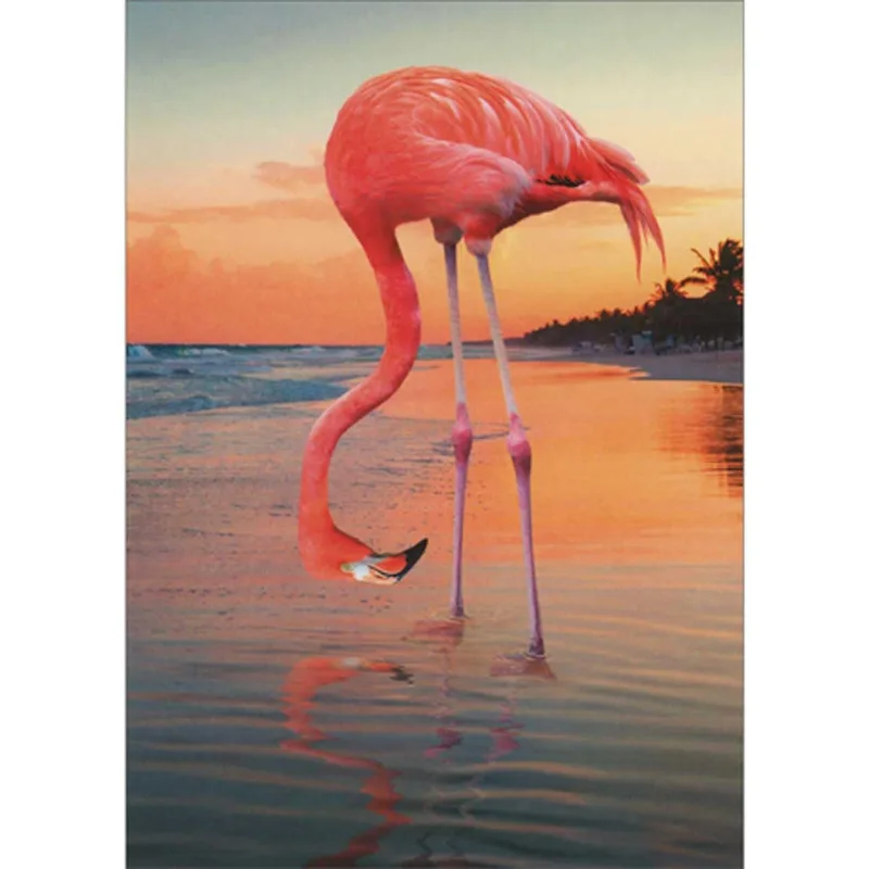 Flamingo Retirement Card: A Pink Beach Sunset to Mark the Next Chapter