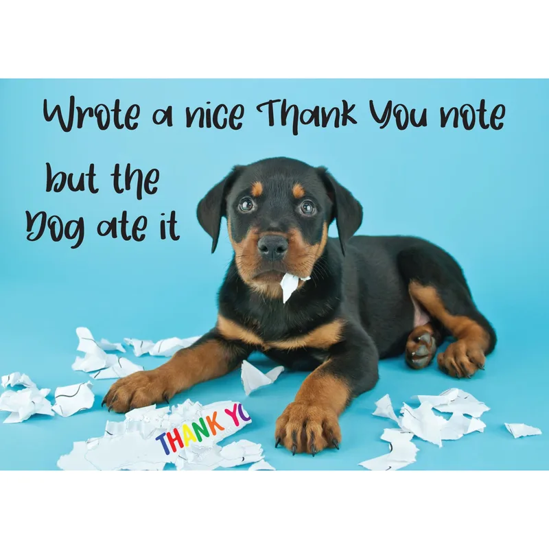 Rottweiler Puppy Blue Thank You Card for Dog Lovers