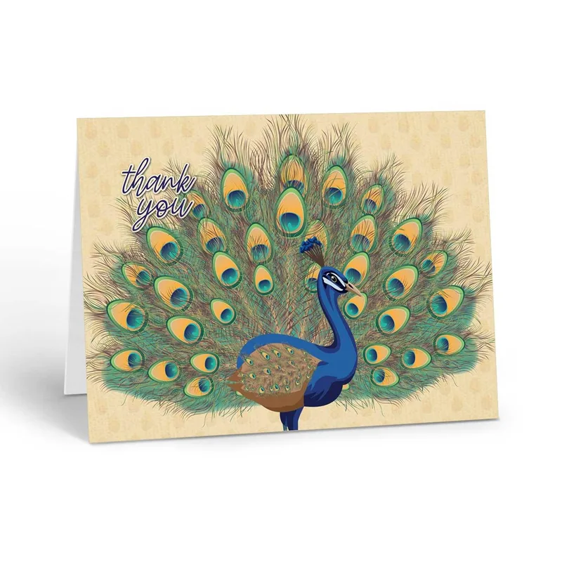 Peacock Feather Display Thank You Card for Elegant Appreciation