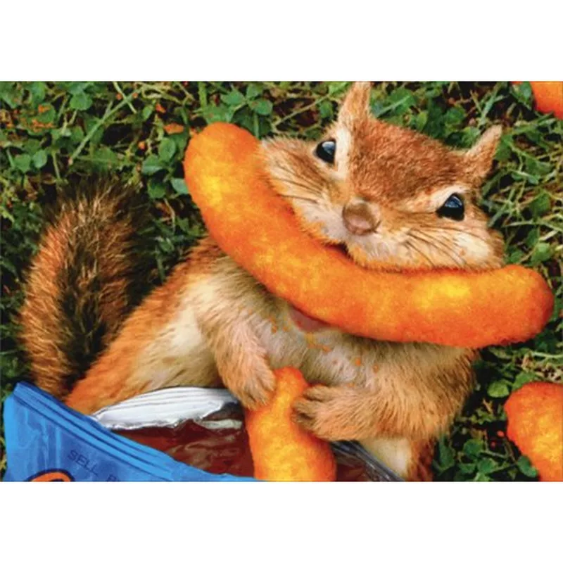 Chipmunk with Cheese Curl Card – Greeting Card in natural