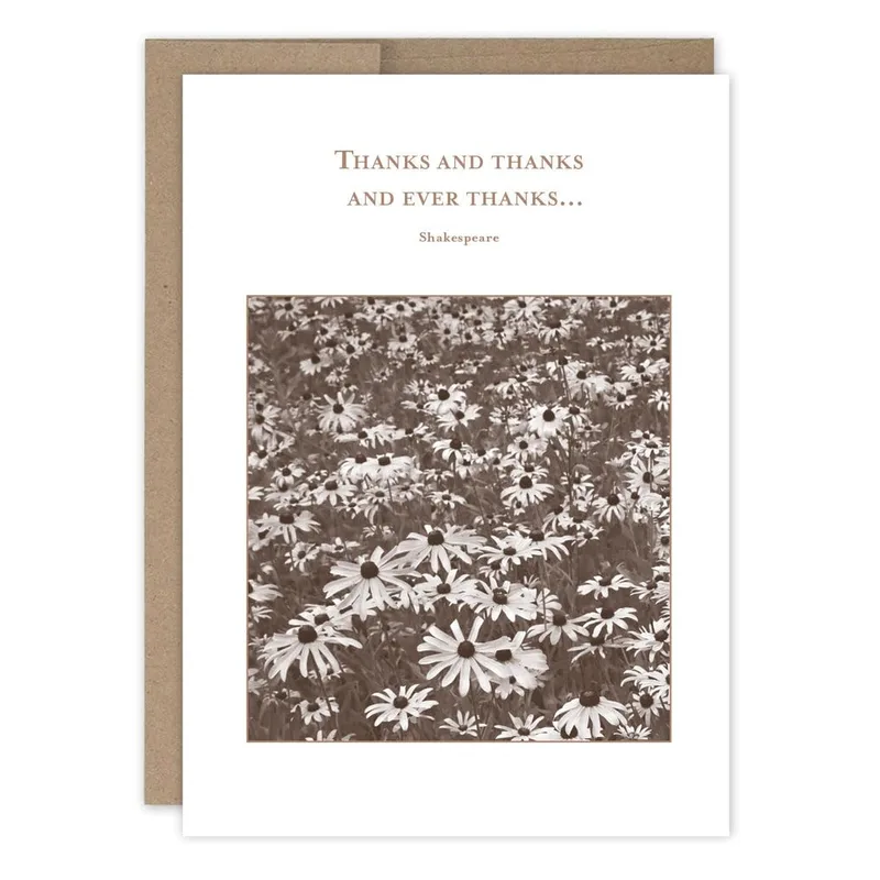 Sepia Daisy Field Thank You Card with Shakespeare Quote