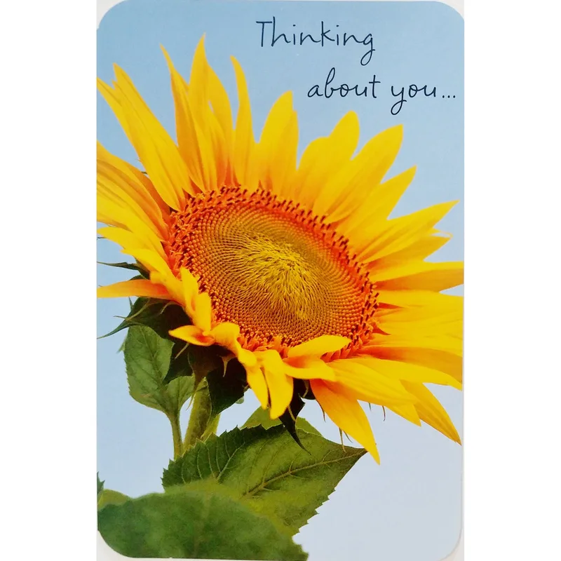 Yellow Sunflower Photo Thinking of You Card