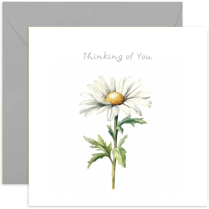 Daisy Flower Card: A Quiet Thinking of You Note