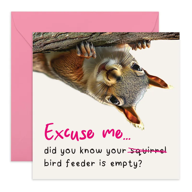 Realistic Squirrel Hanging Upside Card for Bird Feeder Jokes
