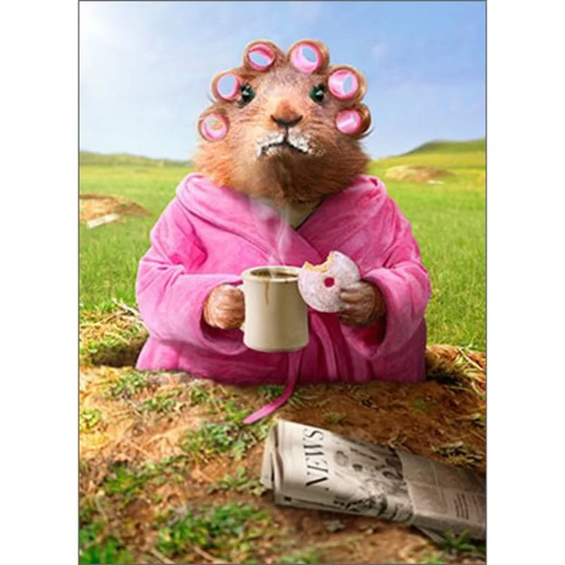 Groundhog Morning Card: Robe, Rollers and a Cup of Coffee