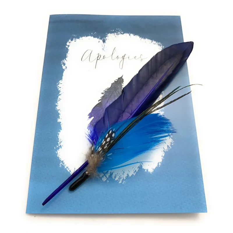 Card Real Feather Sorry Card: A Blue Apology With Attached Feathers