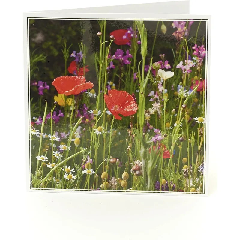 Red Poppy Meadow Photo Card: A Wildflower Thank You Greeting