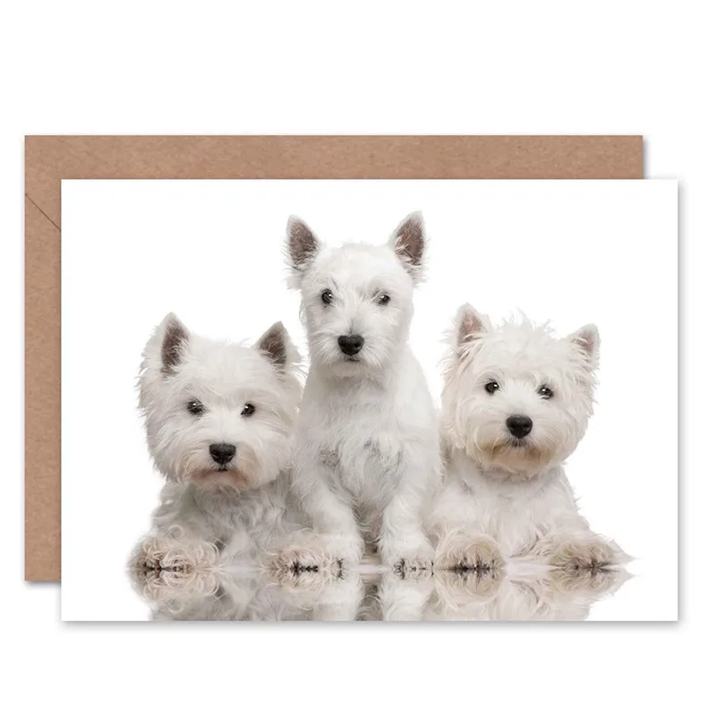 Three White Westie Puppies Card: A Sweet Greeting for Dog Lovers