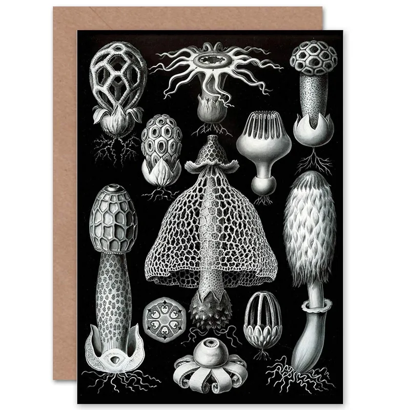 Black Vintage Mushroom Plate Card for Fungus Lovers