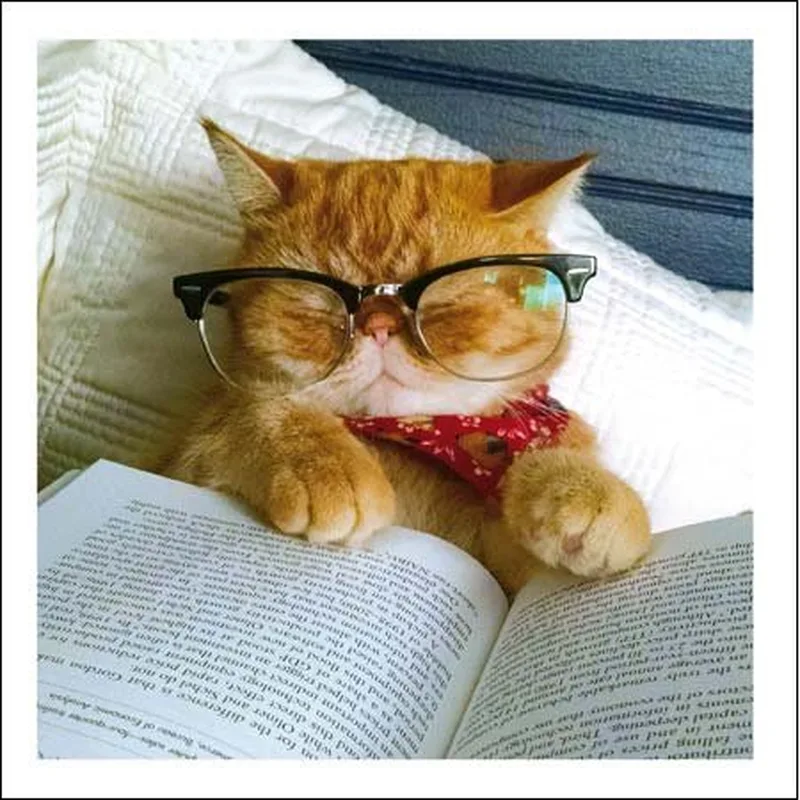 Orange Cat Glasses Reading Card for Book Lovers