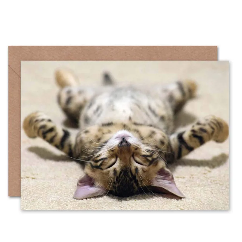 Tabby Kitten Upside Down Card for Cats Who Love to Nap