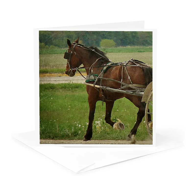 Trotting Horse Buggy Photo Card for Equestrian Humor