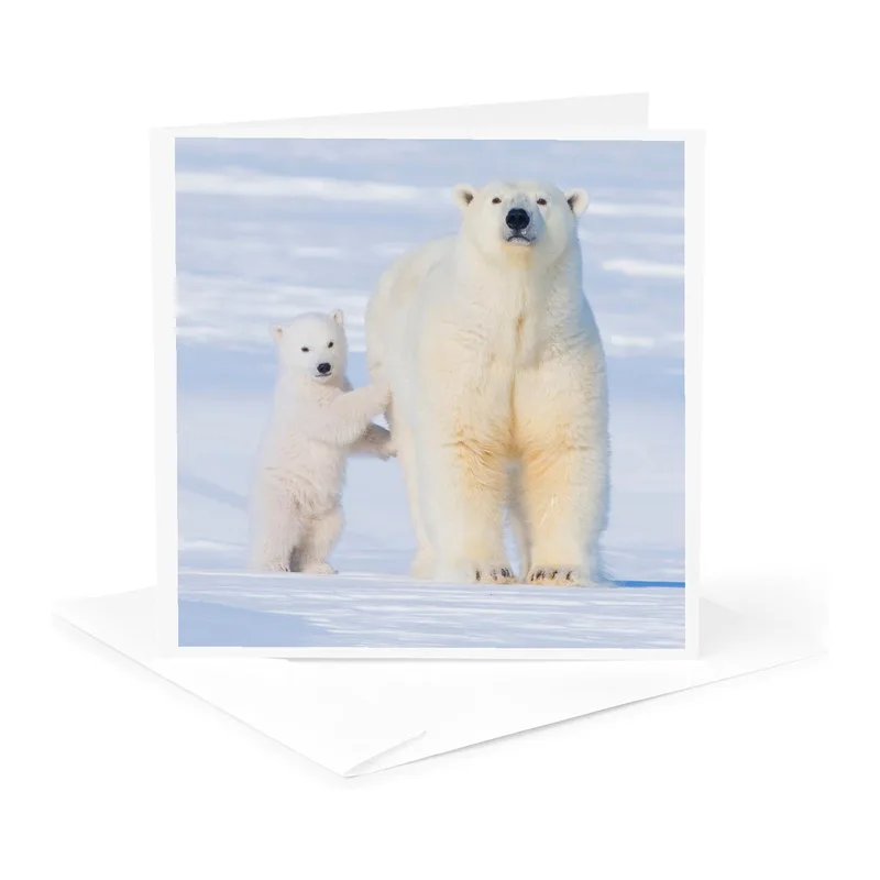 Polar Bears in Snow Card: A Heartwarming Arctic Greeting