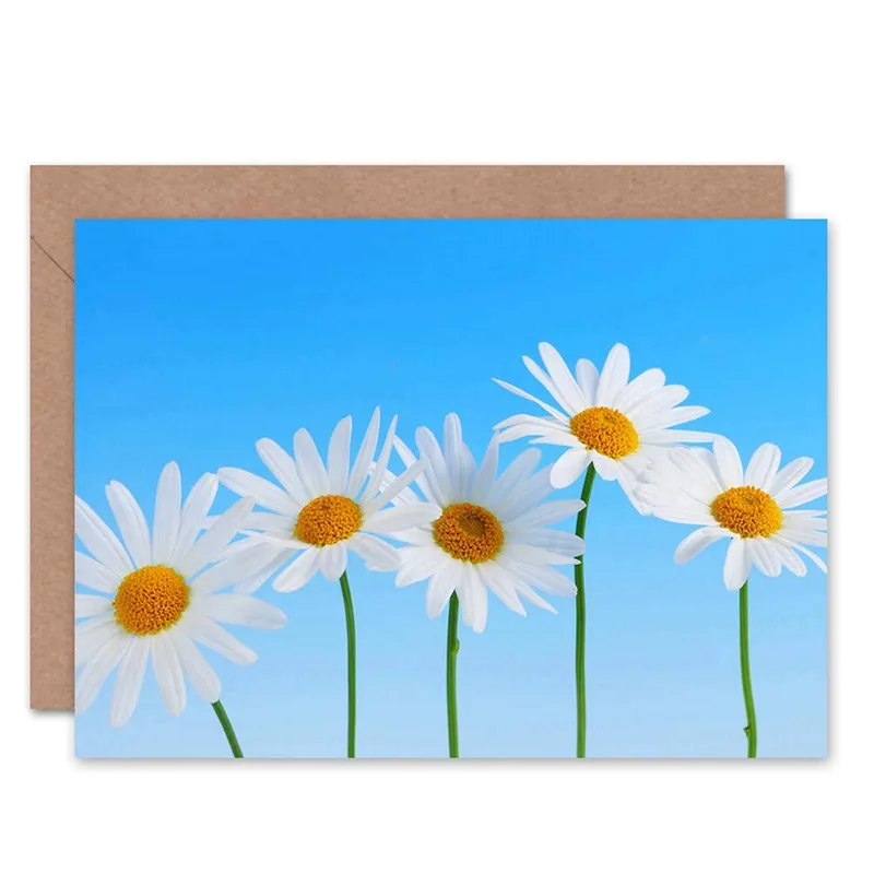 White Daisies Blue Sky Card: Bright Floral Thank You Greeting