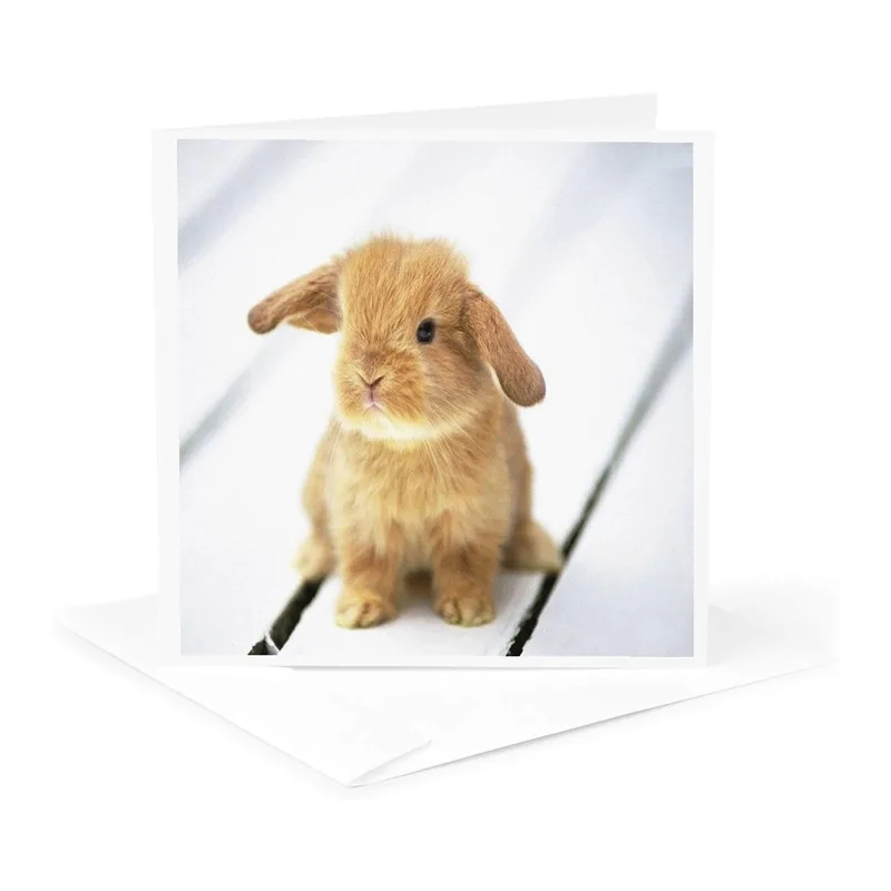 Fluffy Lop Rabbit Photo Card for Adorable Thank You Notes