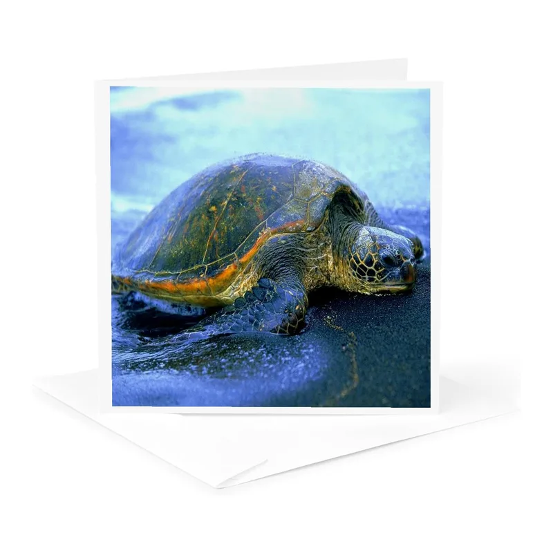 Green Sea Turtle Photo Card: A Serene Beach Scene for Ocean Lovers