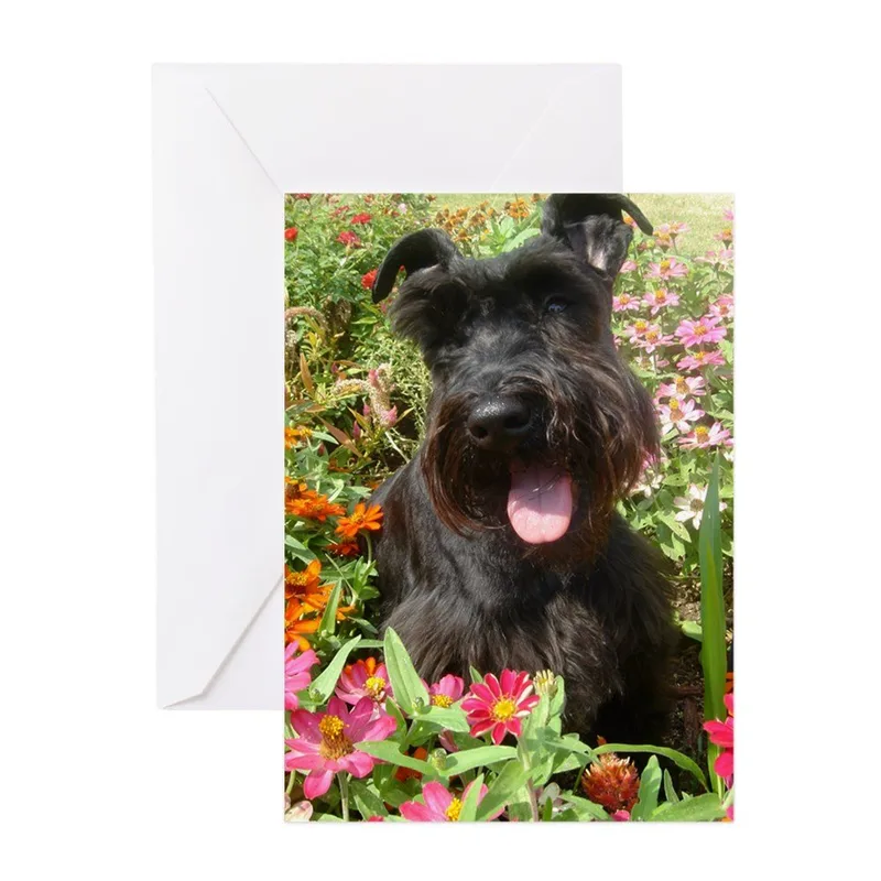 Schnauzer Among Flowers Card: A Black Miniature Schnauzer in a Garden