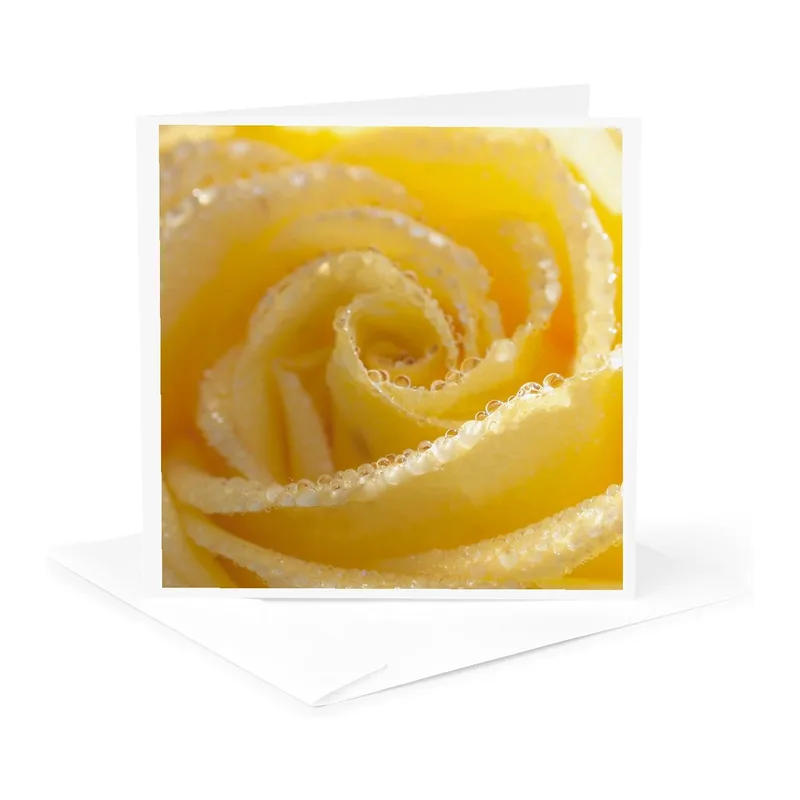 Yellow Rose Water Droplets Card: A Bright Floral Thank You Note