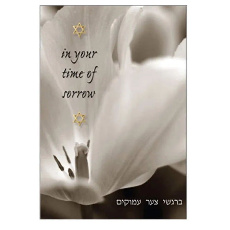 Sepia Tulip Close-Up Sympathy Card for Jewish Condolences