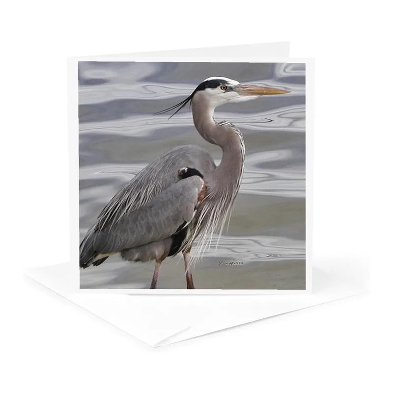 Grey Heron Photo Card: A Serene Wildlife Greeting