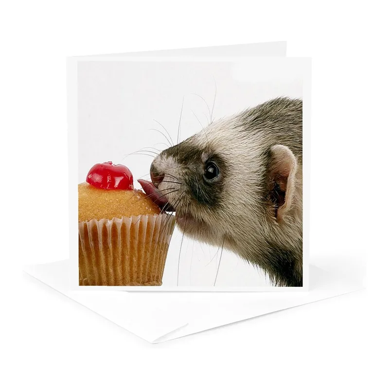 Ferret Eating Cherry Cupcake Card – Greeting Card in natural