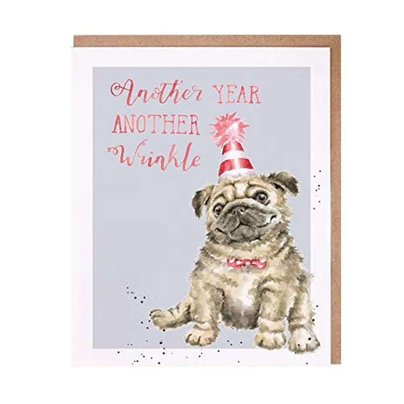 Pug in Party Hat Card: Another Year Another Wrinkle Birthday Design