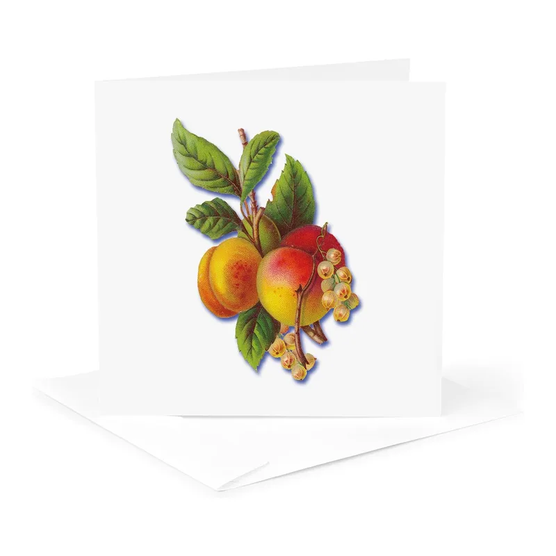 Peaches with Green Leaves Card: Vintage Fruit Illustration Greeting