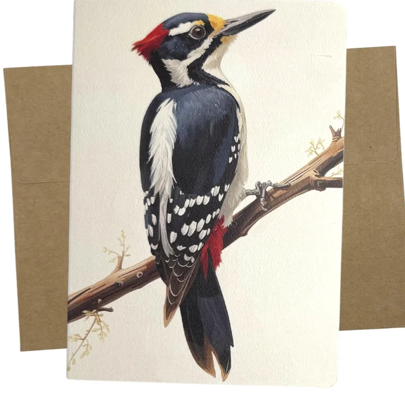 Woodpecker on Branch Painting Card: Nature Art for Bird Lovers