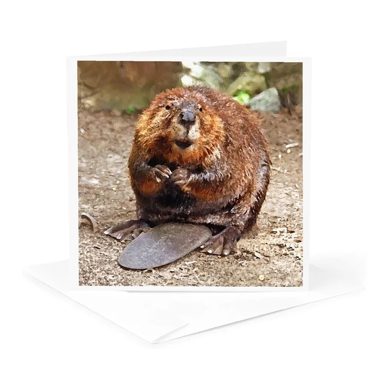 Beaver on Riverbank Card: A Wild Animal Greeting Card