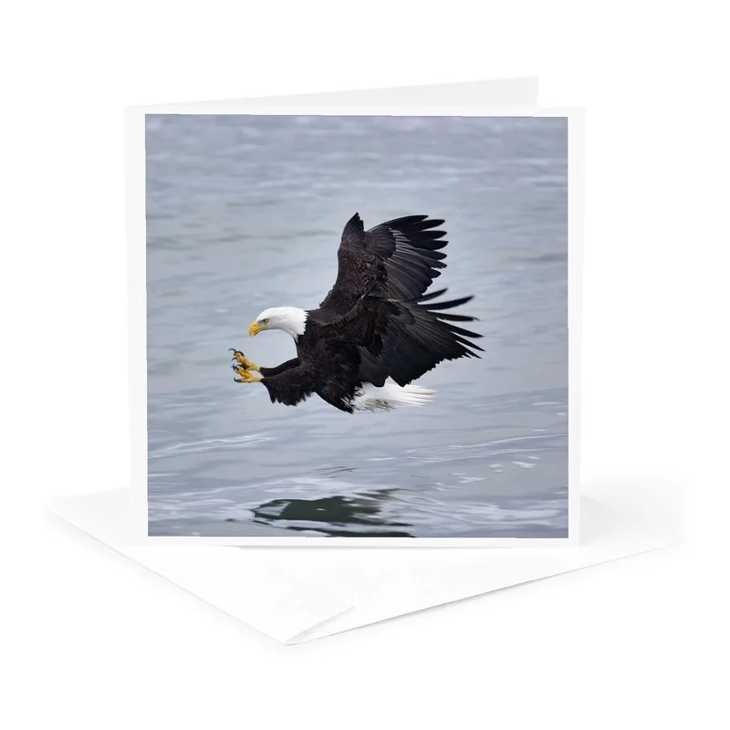 Eagle Diving Over Water Card for Nature Lovers