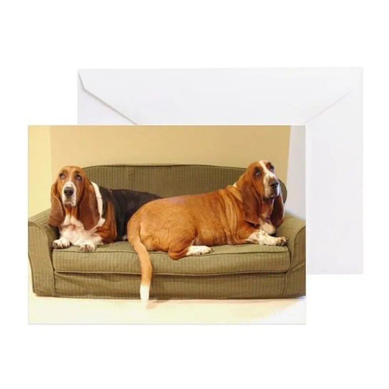Basset Hounds on Couch Card: Two Dogs Resting on Green Sofa