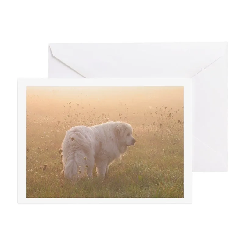 White Dog in Misty Card: A Great Pyrenees Greeting Card
