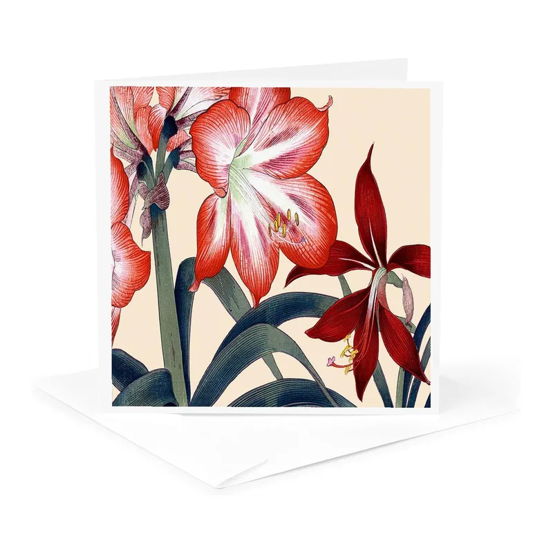 Red Amaryllis Flowers Card: Botanical Art for Garden Lovers