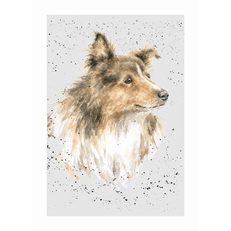 Watercolor Sheltie Portrait Card for Shetland Sheepdog Lovers