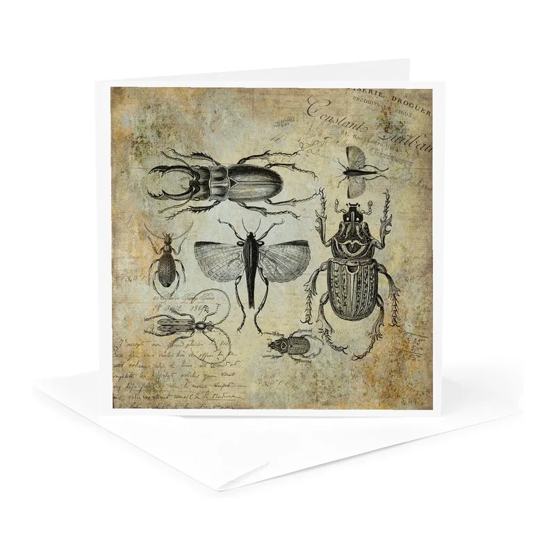 Vintage Beetle Illustration Card for Insect Lovers