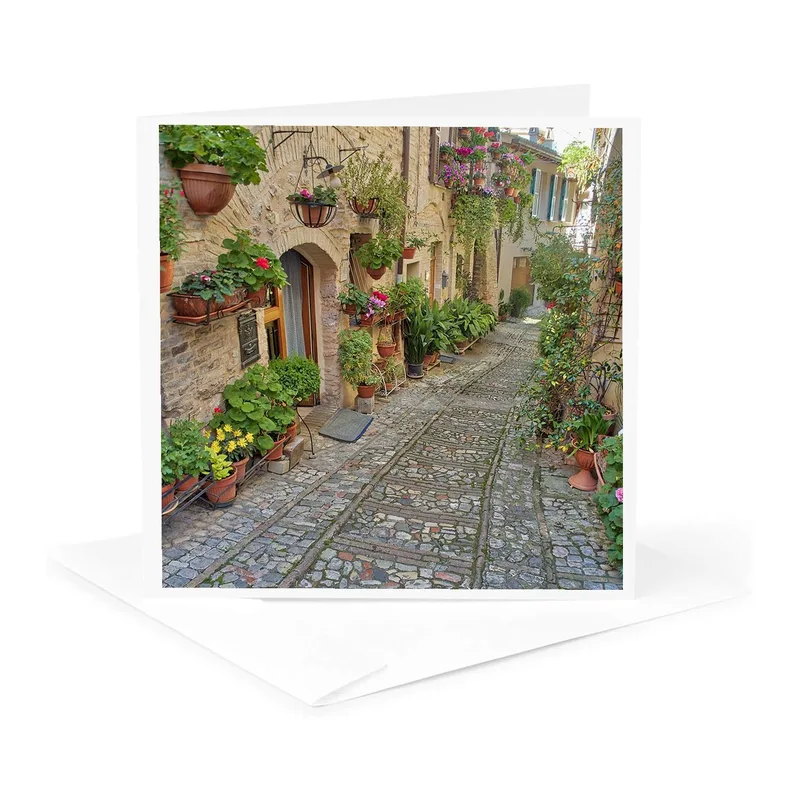 Cobblestone Alley Flower Pots Card: A Greeting Card